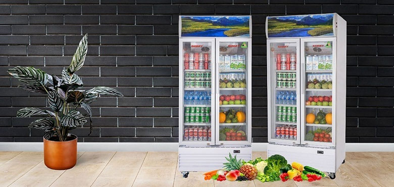 Tủ mát 2 cánh là gì