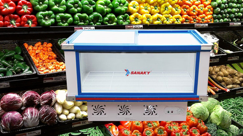 Tủ mát Sanaky 2 cánh VH-288K