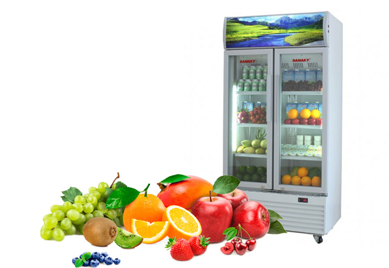 Tủ mát Sanaky 2 cánh VH-1209HP
