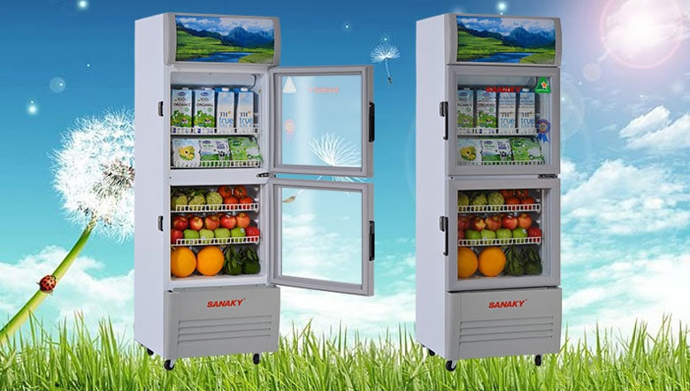 Kích thước Tủ mát Sanaky 240 lít VH-308W
