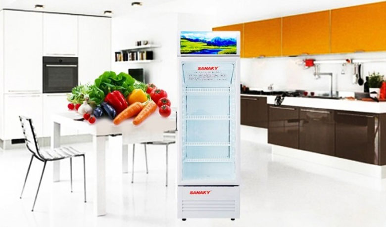 Kích thước Tủ mát Sanaky 240 lít VH-308K