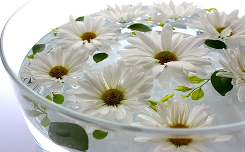 có nên đặt chậu nước trong phòng điều hòa