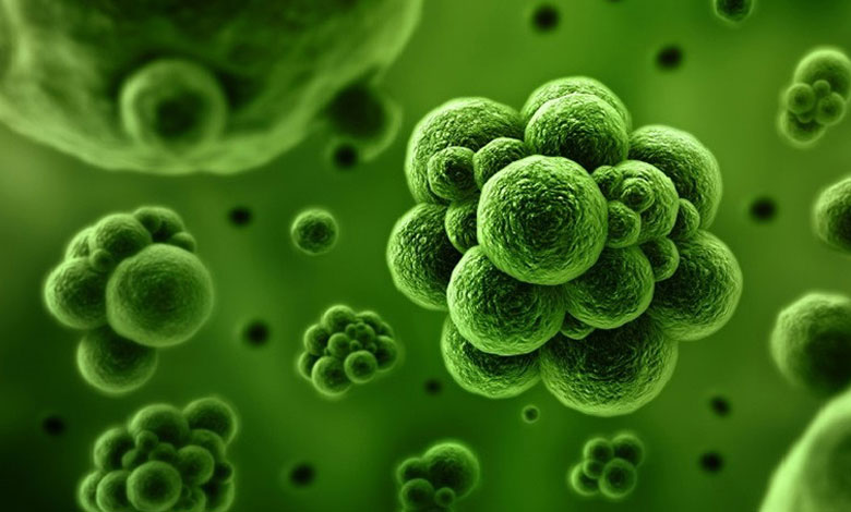 điều hòa Electrolux có tốt không: bộ Plasma năng động