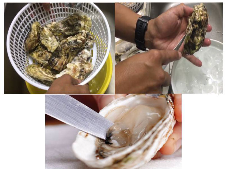 Cách nướng hàu bằng lò vi sóng khi sơ chế hàu