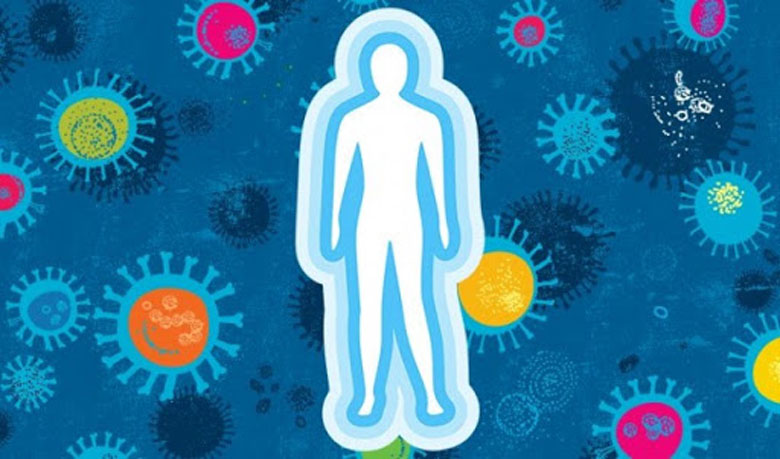 Công dụng của mực đối với sức khỏe người dùng giúp tăng cường kệ miễn dịch