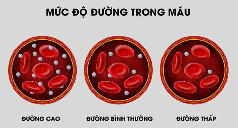 Công dụng của cà tím kiểm soát được lượng đường trong máu