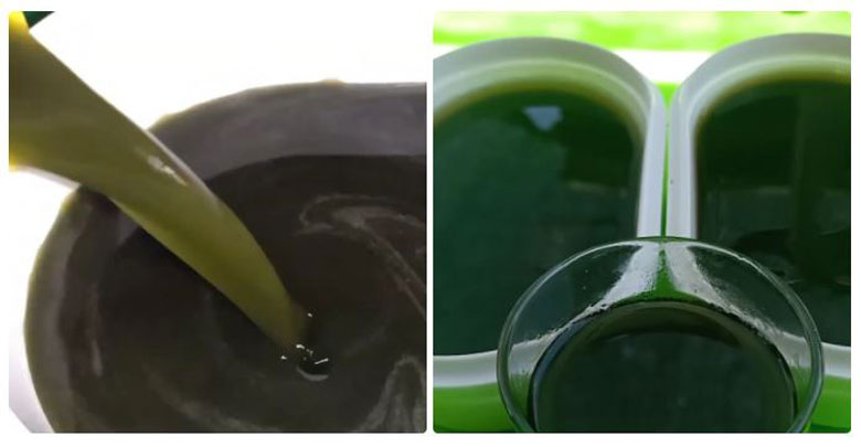 Cách làm sương sâm bằng máy xay sinh tố thực hiện xong hãy đổ vào khuôn và bắt đầu làm đông