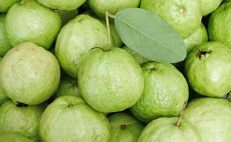 Cách làm nước ép ổi bằng máy xay sinh tố cần nguyên liệu sau