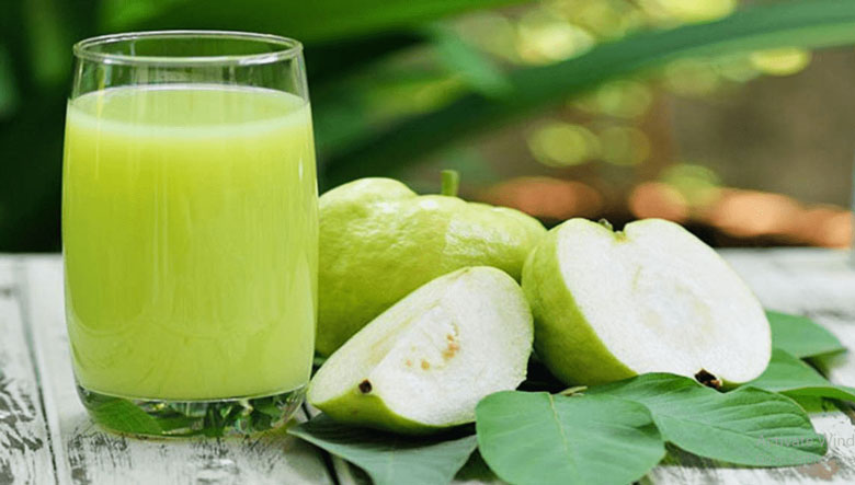 Thưởng thức nước ép ổi bằng máy xay sinh tố mời cùng gia đình