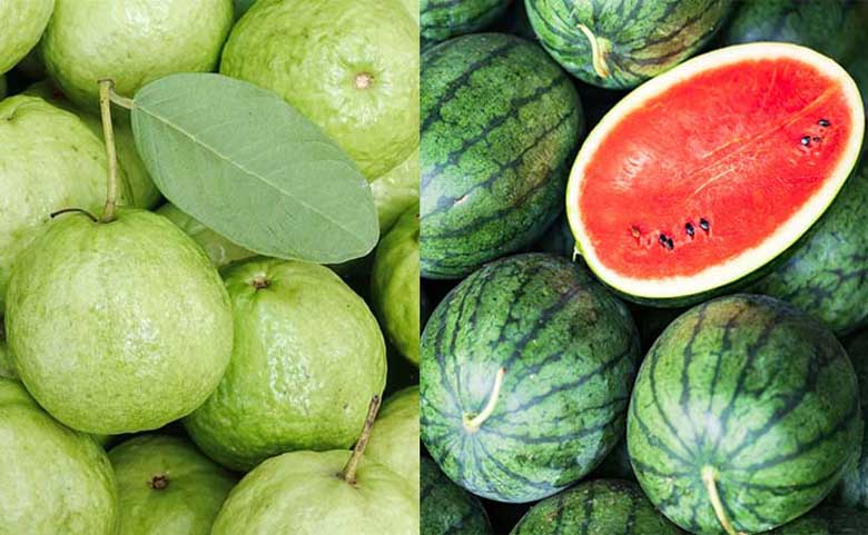 Nguyên liệu làm sinh tố ối dưa hấu bằng máy xáy sinh tố