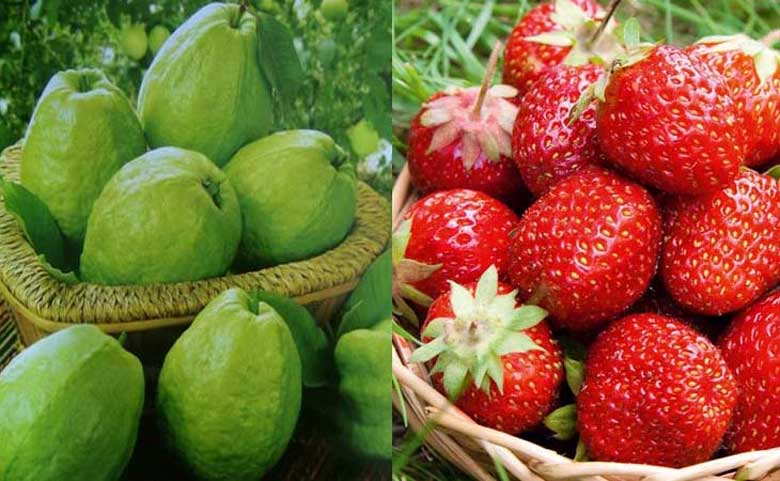 Nguyên liệu để làm sinh tố ối dâu tây bằng máy xáy sinh tố