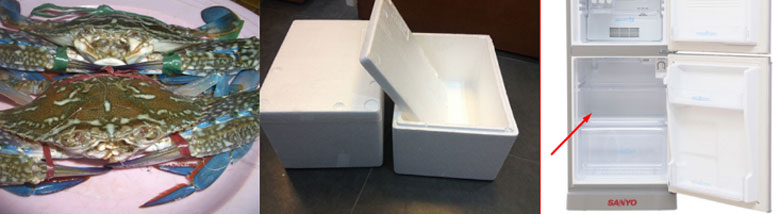 Cách bảo quản ghẹ tươi trong tủ lạnh: Đối với ghẹ sống vận chuyển đi xa