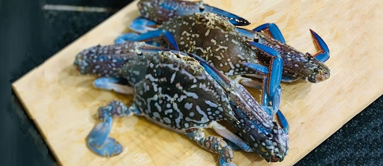 Cách bảo quản ghẹ tươi trong tủ lạnh đúng cách