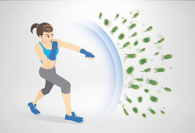 Lợi ích của kem tươi là tăng cường hệ miễn dịch