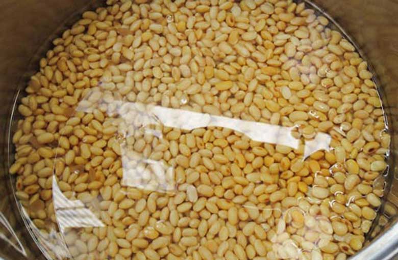 Cách dùng máy làm sữa đậu nành luôn luôn ngâm đậu nành khi sơ chế