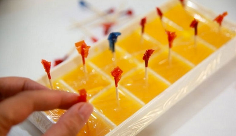 Hướng dẫn cách làm kem cam với Whipping cream: Đổ khuôn kem