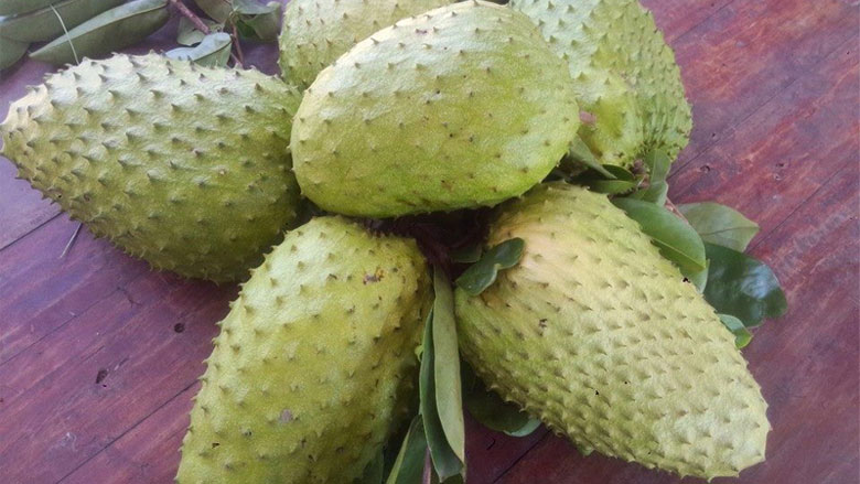 Sinh tố mãng cầu xoài khi lựa chọn mãng cầu