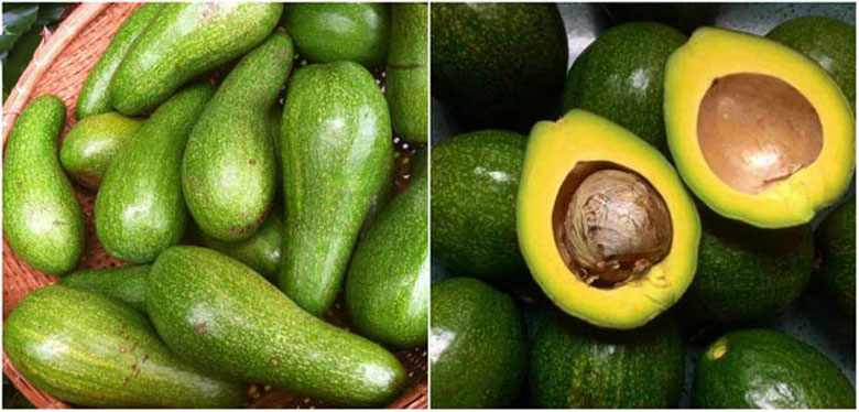 Cách làm sinh tố bơ đu đủ khi chọn bơ