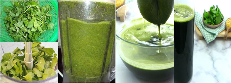 Sinh tố rau má nước dừa bạn cần xay rau má