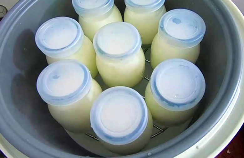 Cách làm sữa chua nha đam: ủ bằng nồi cơm điện