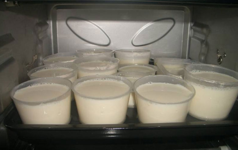 Cách làm sữa chua nha đam: ủ bằng lò vi sóng