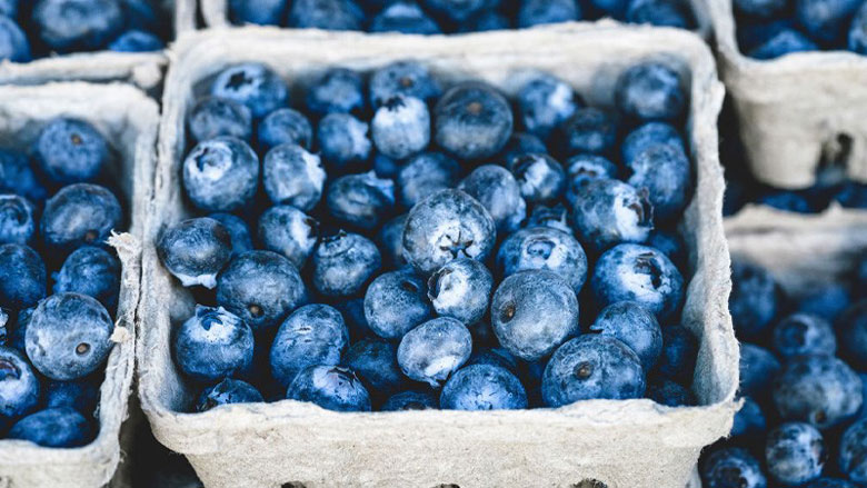 Chọn mua và bảo quản việt quất đúng chuẩn