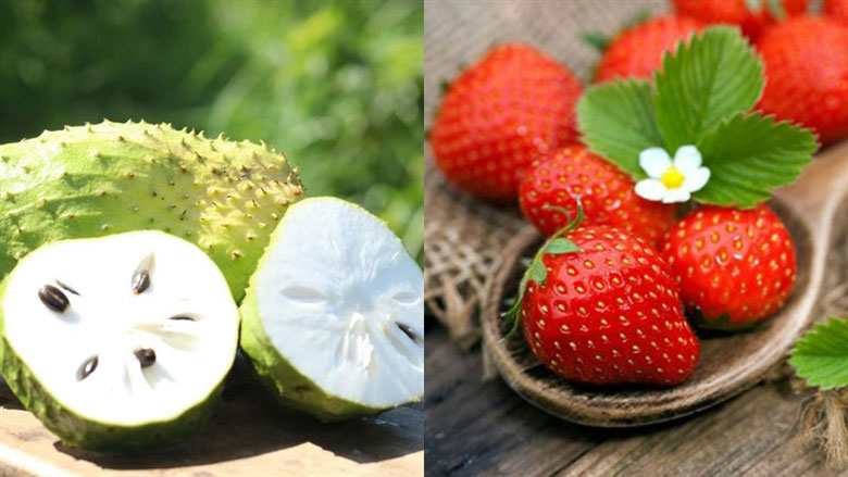 Công thức làm sinh tố mãng cầu dâu cùng với nguyên liệu sau