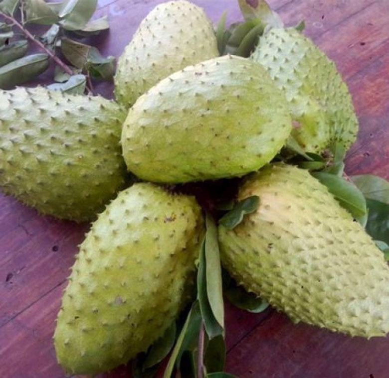 Lựa chọn mãng cầu xiêm thơm ngon