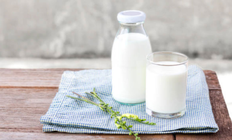 Cách làm sữa chua từ sữa tươi: Nguyên liệu