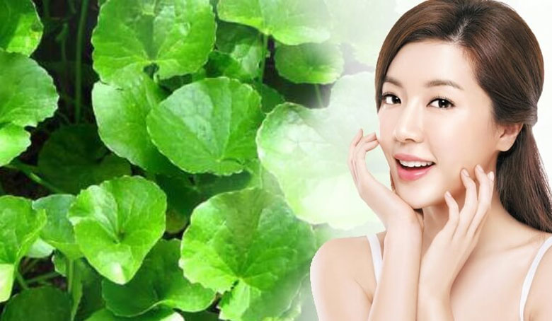 Rau má mang lại những giá trị gì cho sức khỏe