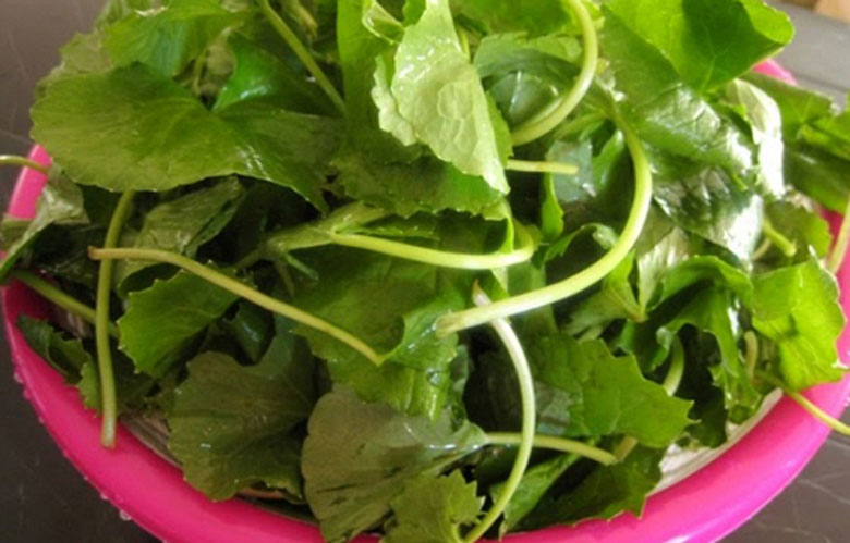 Cách làm nước ép rau má sữa tươi: sơ chế rau má