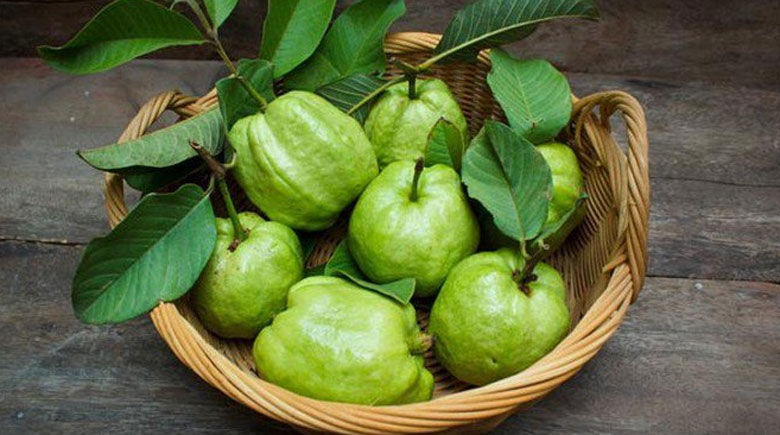 Cách làm nước ép ổi nguyên chất: nguyên liệu