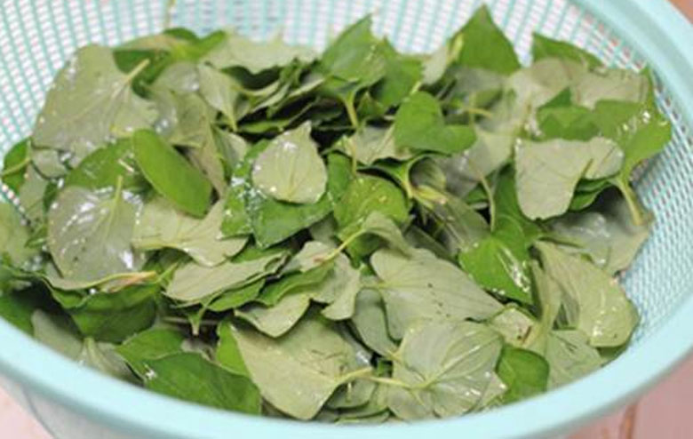 Cách làm nước ép diếp cá nguyên chất: làm sạch rau