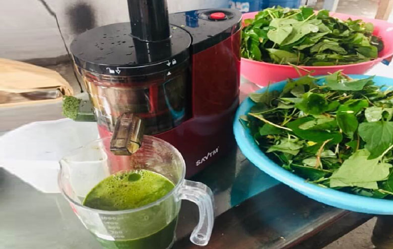 Cách làm nước ép diếp cá nguyên chất: Ép nước