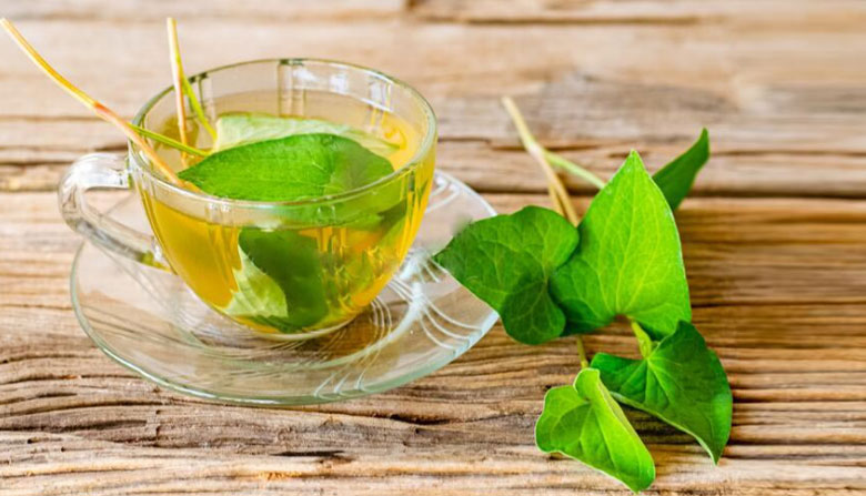 Tác dụng của Nước ép diếp cá