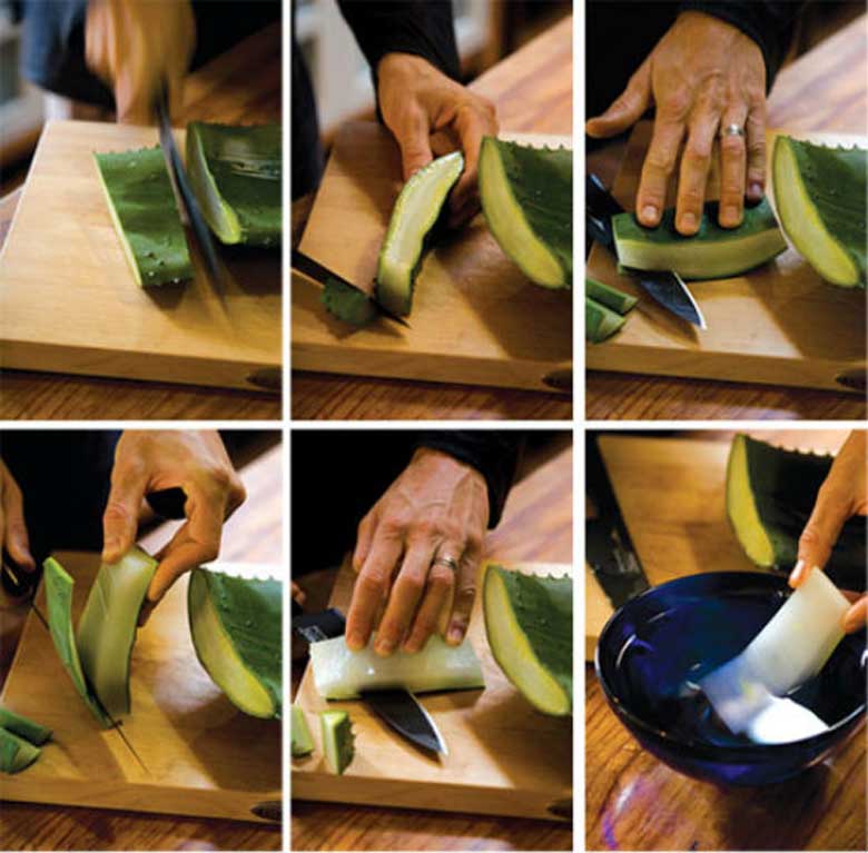 Cách làm topping nha đam cần sơ chế nha đam