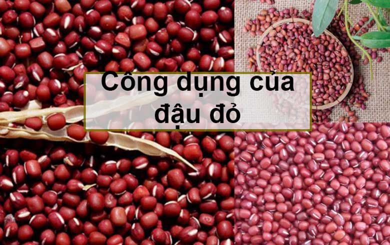 Công dụng của đậu đỏ