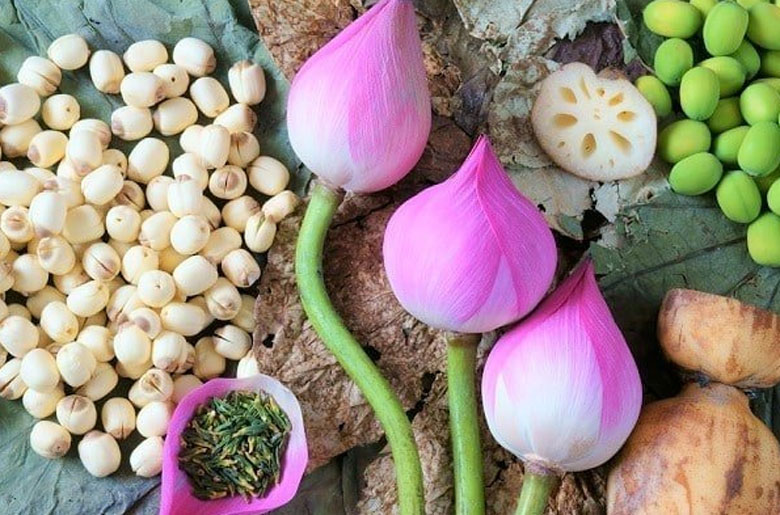 Cách nấu chè hạt sen táo đỏ: Lưu ý