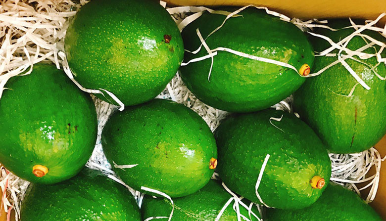 Cách làm chè bơ cốt dừa: Nguyên liệu