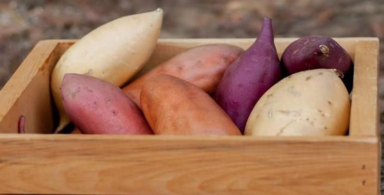 Cách làm chè khoai dẻo: Nguyên liệu