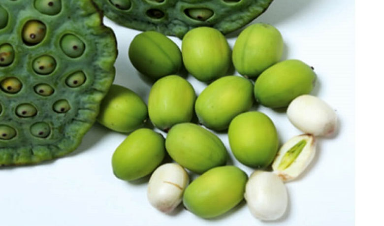 Cách nấu chè cốm hạt sen: Cách chọn sen tươi