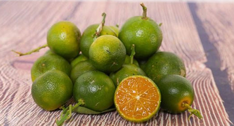 Cách làm quất lắc sữa cần lựa chọn những trái tắc/quất