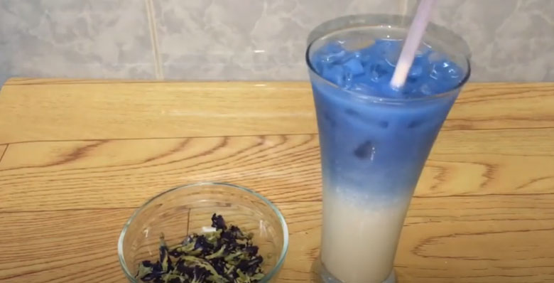 Thưởng thức ly sữa tươi hoa đậu biếc ngay nhé