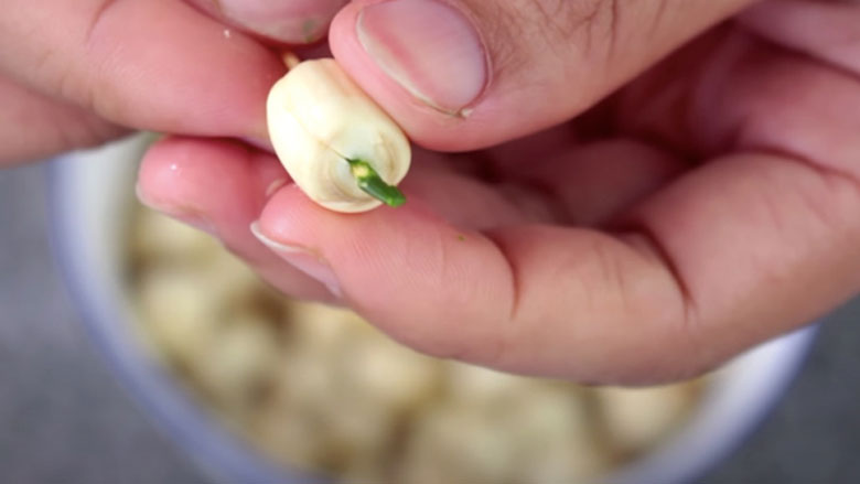 cách nấu chè nha đam hạt sen: sơ chế hạt sen