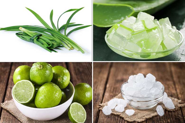 Trà sữa nha đam nguyên liệu để làm nha đam