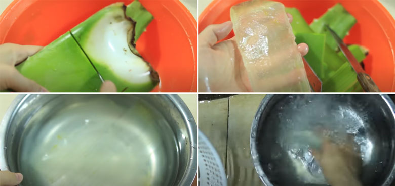 Trà sữa nha đam khi sơ chế vỏ bên nha đam