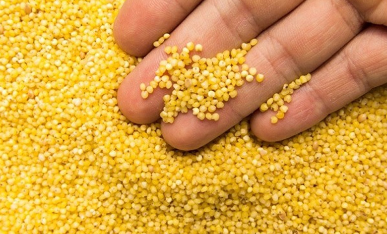 Cách nấu chè kê đậu xanh: Lưu ý