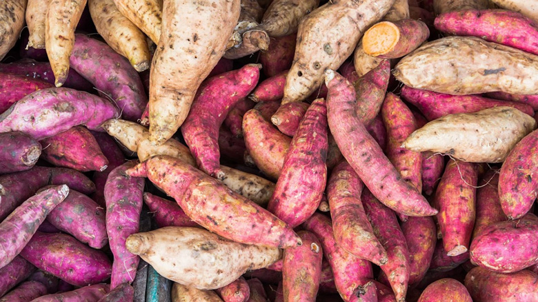 Cách nấu chè khoai lang bột báng: Nuyên liệu