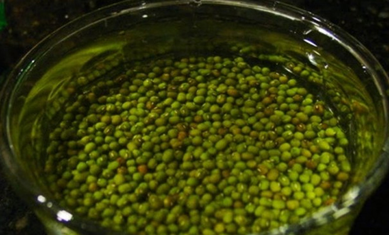 Cách nấu chè thập cẩm miền Trung: Ngâm đậu xanh