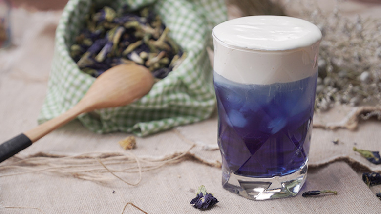 Cách làm trà hoa đậu biếc macchiato: thành phẩm